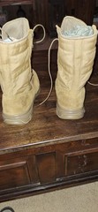 Danner Reckoning Coyote Hot Mens Boots