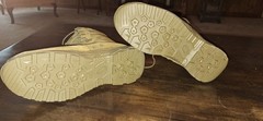 Danner Reckoning Coyote Hot Mens Boots